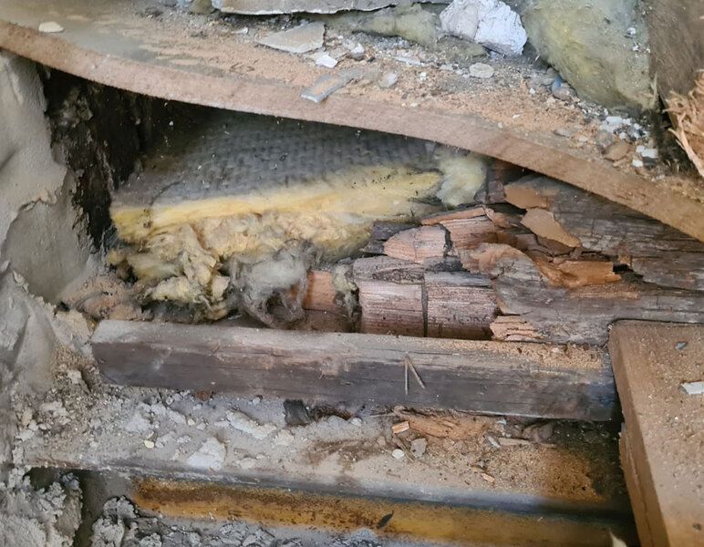 Ihr Experte für Holzschutz
